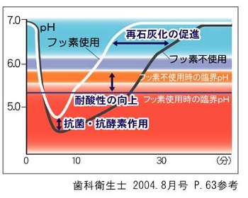 歯磨き粉の選び方素